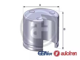 Поршень тормозного суппорта D02551 AUTOFREN SEINSA