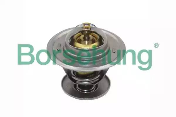 Термостат системы охлаждения B13141 BORSEHUNG