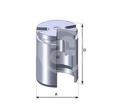 Поршень тормозного суппорта D02525 AUTOFREN SEINSA