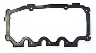 Прокладка крышки ГБЦ JN815 PAYEN