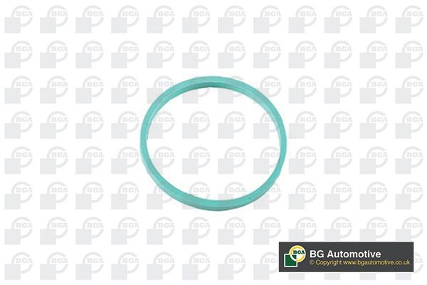 Прокладка впускного коллектора RW4353 BG AUTOMOTIVE