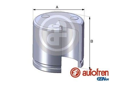 Поршень тормозного суппорта D02551 AUTOFREN SEINSA